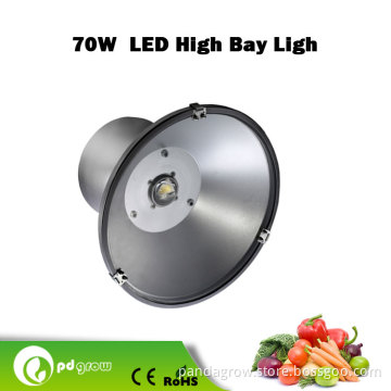 Pd-Hb-70 RoHS UL Approved LED High Bay Light 70W